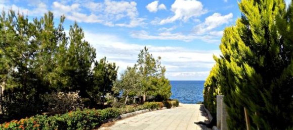 Estudio en Paphos, Cyprus No. 24534 13