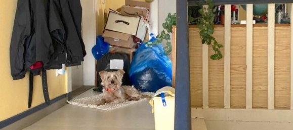 3 Schlafzimmer Haus in Hungen, Germany, Nr. 45646 9