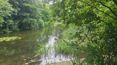 4 rooms Apartment in Wahring, Austria No. 260733