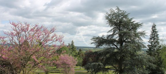 Studio in Loir-et-Cher, France No. 231956 9