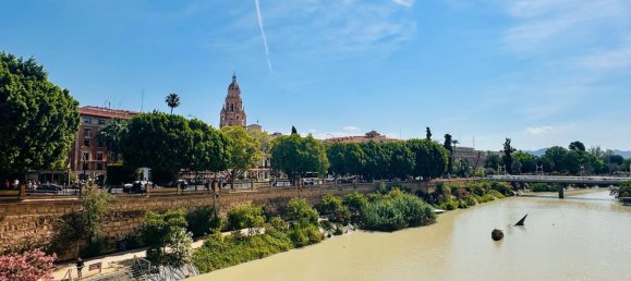 250m² Commercial property in Murcia, Spain No. 150645 33