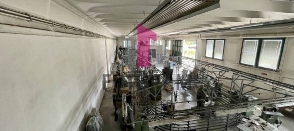 5 rooms Warehouse in Fossò, Italy No. 281484 12