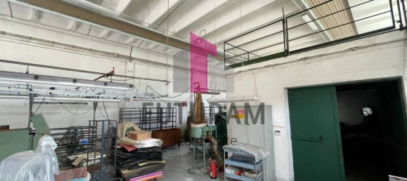 5 rooms Warehouse in Fossò, Italy No. 281484 3