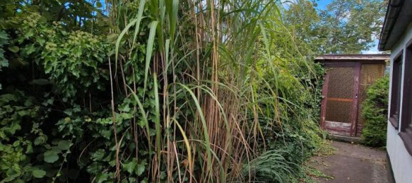 Земельный участок с 1 спальней в Oberhavel, Германия № 340417 11