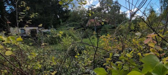 Земельный участок с 1 спальней в Oberhavel, Германия № 340417 10