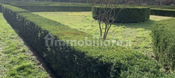 6 bedrooms Villa in Monteriggioni, Italy No. 222215 19