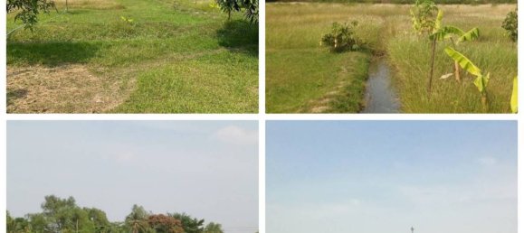  قطعة أرض في Samut Sakhon, Thailand 42136متر مربع رقم 78038 6