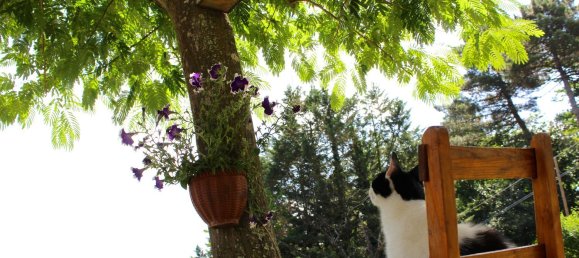 2 rooms House in Barberino di Mugello, Italy No. 251236 6