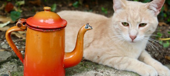 2 rooms House in Barberino di Mugello, Italy No. 251236 13