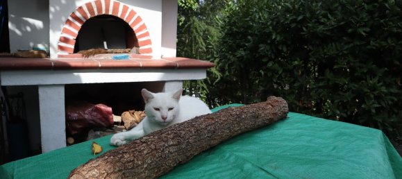 2 rooms House in Barberino di Mugello, Italy No. 251236 9