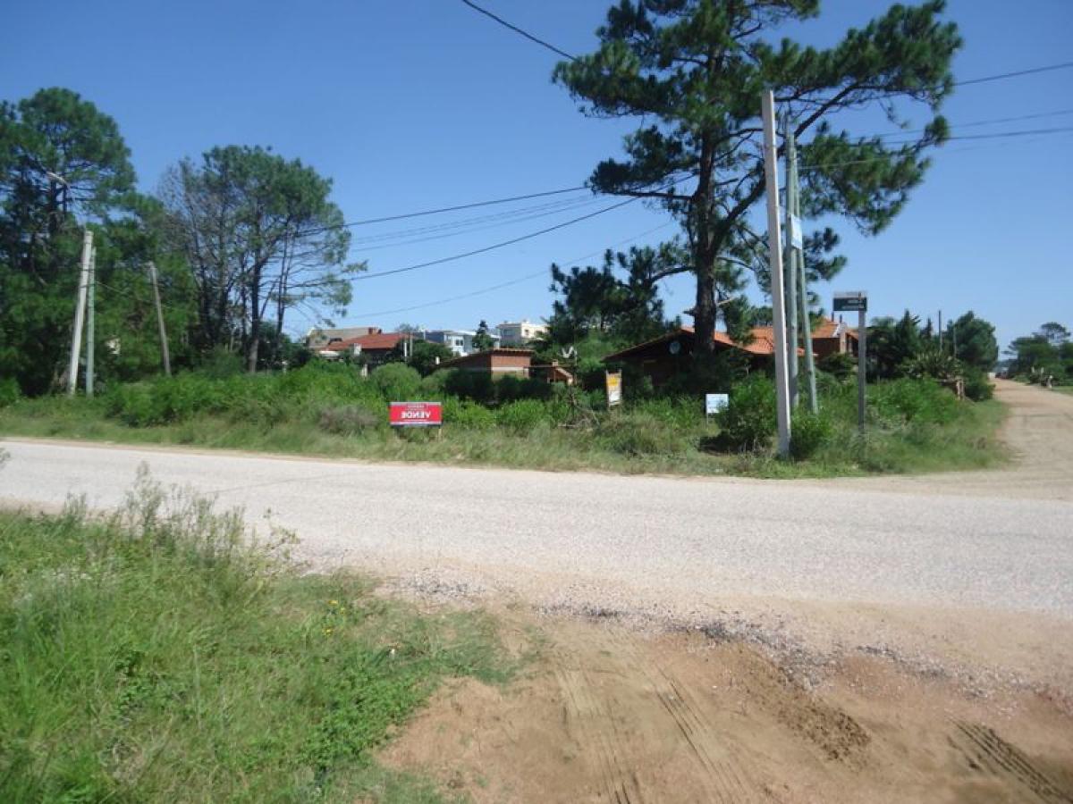  Land in Maldonado, Uruguay No. 14808