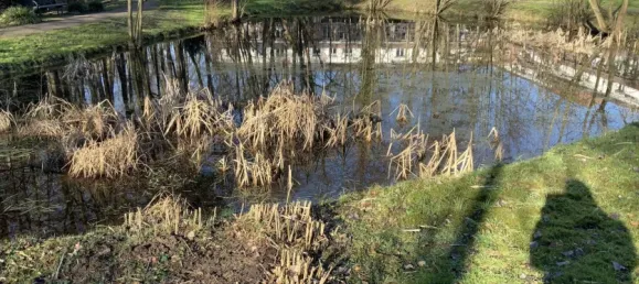 2-Zimmer Wohnung in Bremen, Germany, Nr. 274194 4