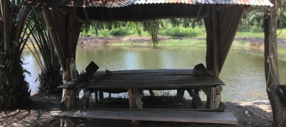 10148m² Commercial property in Khok Kloi, Thailand No. 8235 6