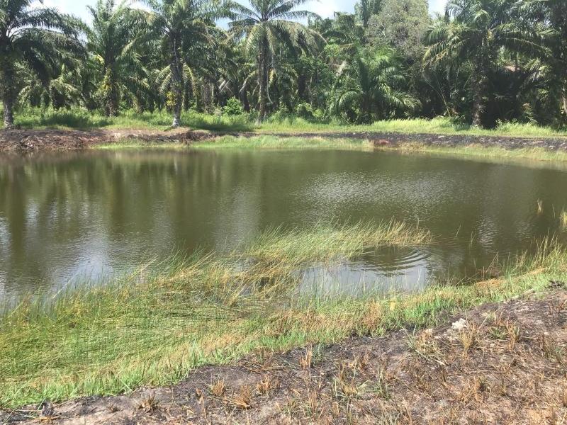 10148m² Commercial property in Khok Kloi, Thailand No. 8235