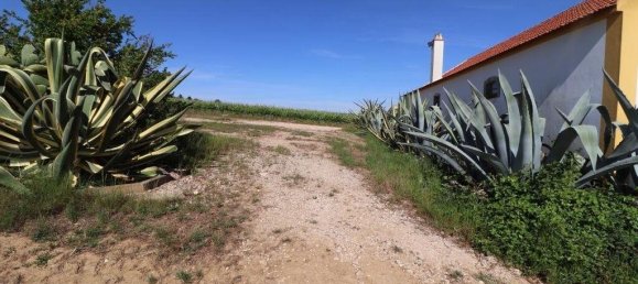  Castillos de 3 dormitorios en Torres Vedras, Portugal No. 128863 25