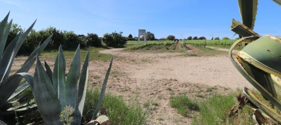  Castillos de 3 dormitorios en Torres Vedras, Portugal No. 128863 15