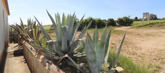  Castillos de 3 dormitorios en Torres Vedras, Portugal No. 128863 14