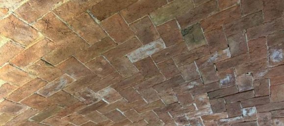 5-Zimmer Gebäude in Luzzara, Italy, Nr. 210055 7