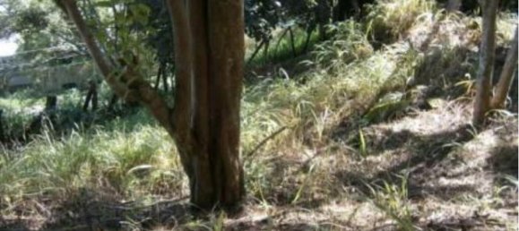  قطعة أرض في Santa Ana, Costa Rica رقم 1617 6