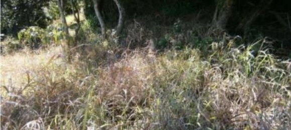  قطعة أرض في Santa Ana, Costa Rica رقم 1617 5