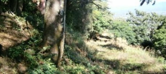  قطعة أرض في Santa Ana, Costa Rica رقم 1617 2