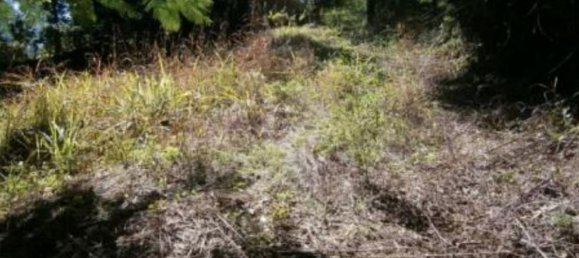  قطعة أرض في Santa Ana, Costa Rica رقم 1617 3