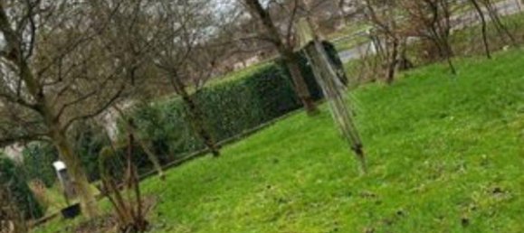 5 غرف نوم تاون هاوس في Rhein-Sieg, Germany رقم 338484 4