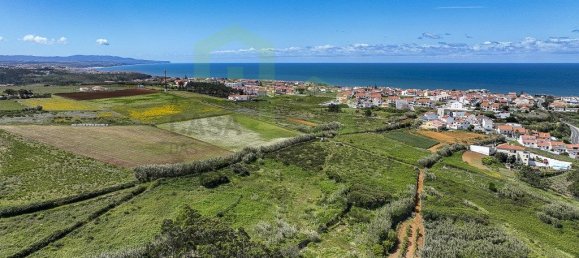 Grundstück in Ericeira, Portugal 13499m², Nr. 74582 5