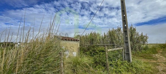 Grundstück in Ericeira, Portugal 13499m², Nr. 74582 14