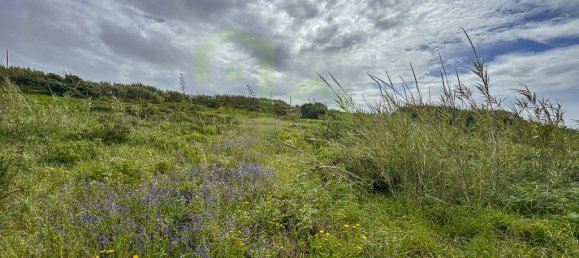 Grundstück in Ericeira, Portugal 13499m², Nr. 74582 7