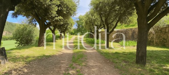 20 chambres Maison à Barcelona, Spain No. 155729 23