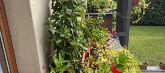 Villa T5 em Induno Olona, Italy N.º 288971 44