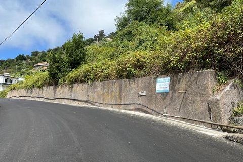5 bedrooms Land in Ribeira Brava, Portugal No. 277707