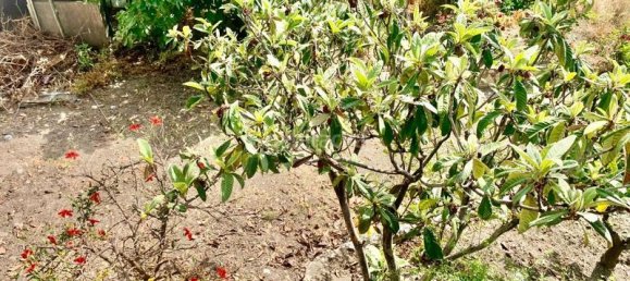 6 chambres Maison à Alcaucin, Spain No. 140259 27