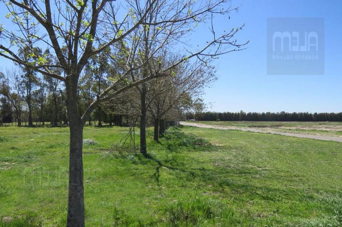 Terreno em Buenos Aires, Argentina N.º 112356