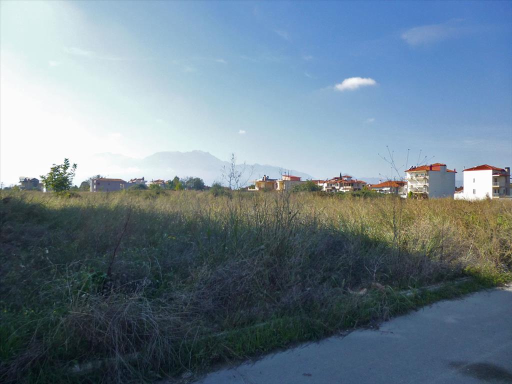 3950m² Hotel in Katerini, Greece No. 7550