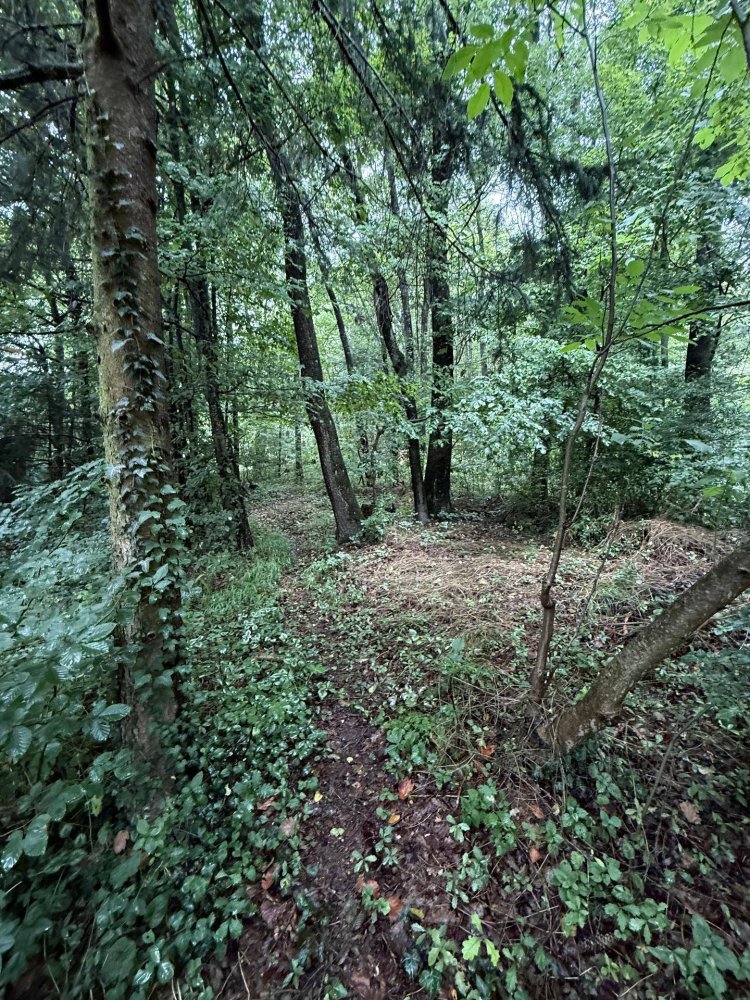 810m² Land in Liesing, Austria No. 150585