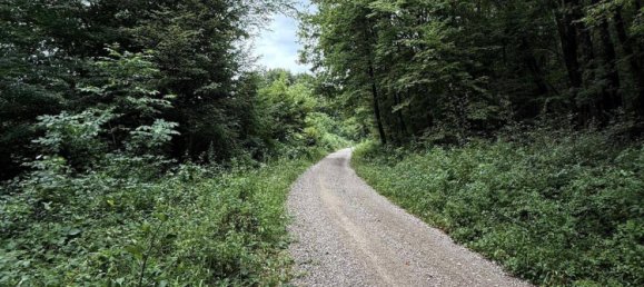 810m² Land in Liesing, Austria No. 150585 2