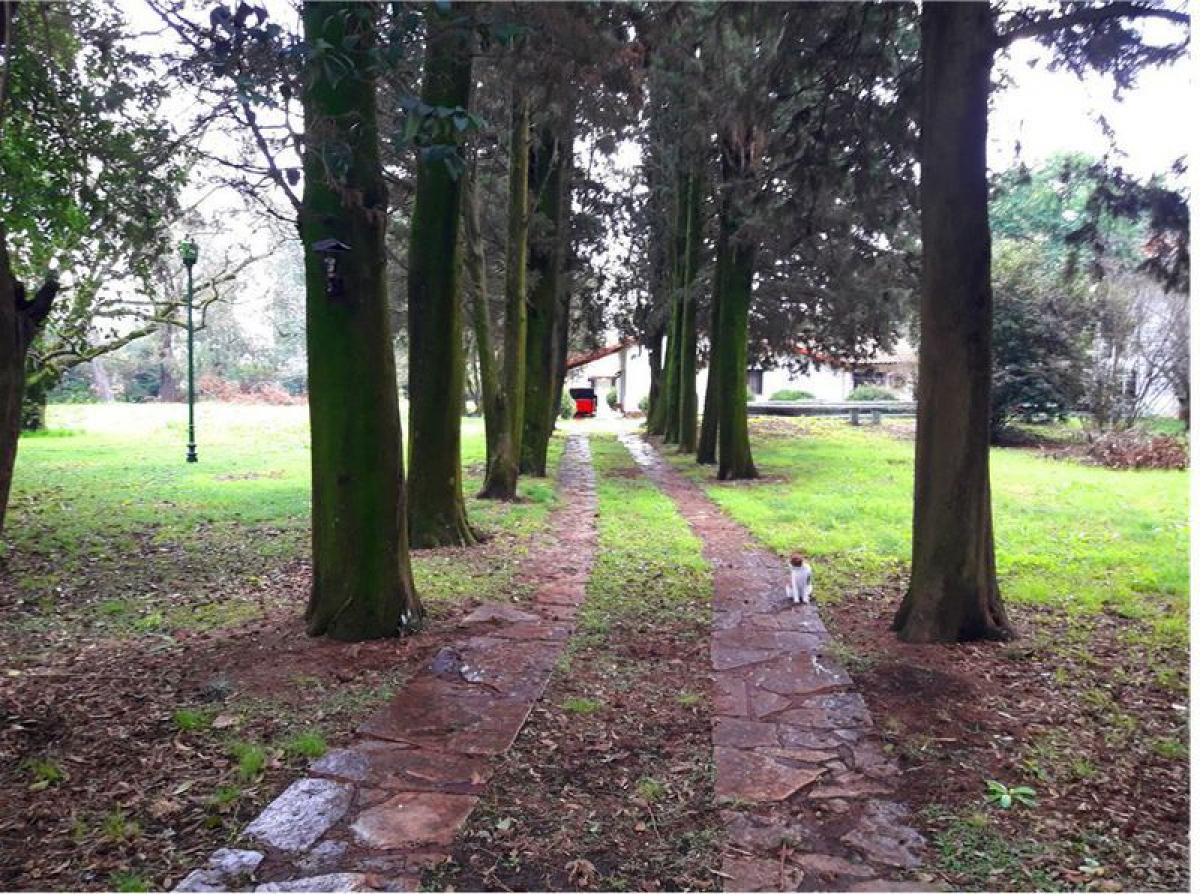 3 bedrooms Farm in Merlo, Argentina No. 36752