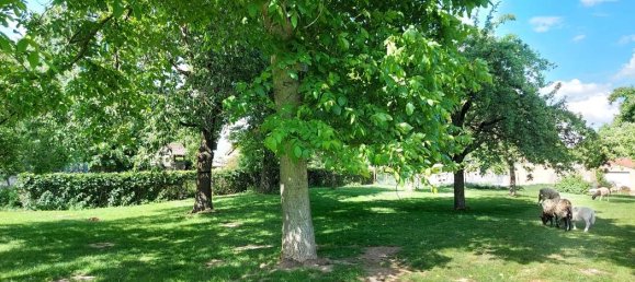 Granja de 5 dormitorios en Heinsberg, Germany No. 312985 44