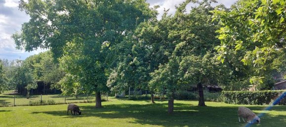 Granja de 5 dormitorios en Heinsberg, Germany No. 312985 41