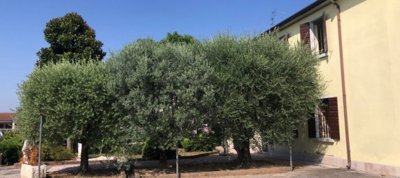 Casa de 10 divisões em Salizzole, Italy N.º 59254 9