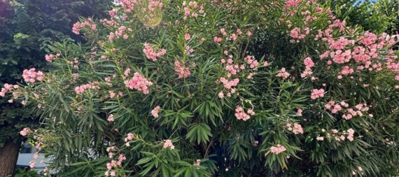 2-Zimmer Wohnung in Milan, Italy, Nr. 318557 15