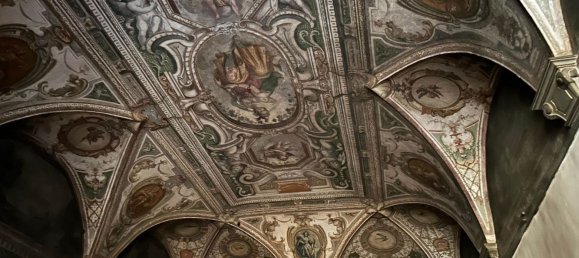 Gewerbliche Immobilie in Florence, Italy 188m², Nr. 210096 10