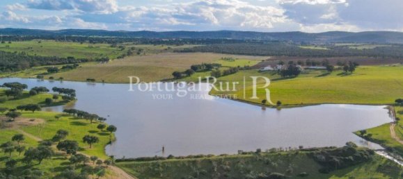 9 Schlafzimmer Grundstück in Evora, Portugal, Nr. 208993 21