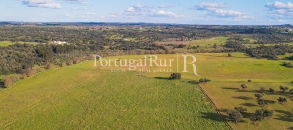 9 Schlafzimmer Grundstück in Evora, Portugal, Nr. 208993 16