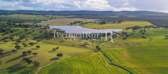 9 Schlafzimmer Grundstück in Evora, Portugal, Nr. 208993 20