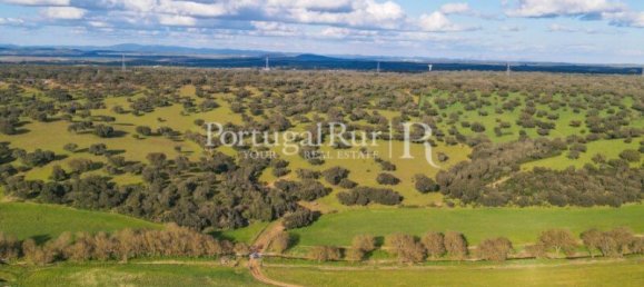 9 Schlafzimmer Grundstück in Evora, Portugal, Nr. 208993 14