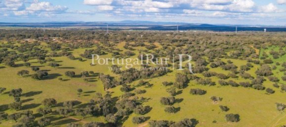 9 Schlafzimmer Grundstück in Evora, Portugal, Nr. 208993 19