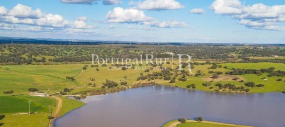 9 Schlafzimmer Grundstück in Evora, Portugal, Nr. 208993 13